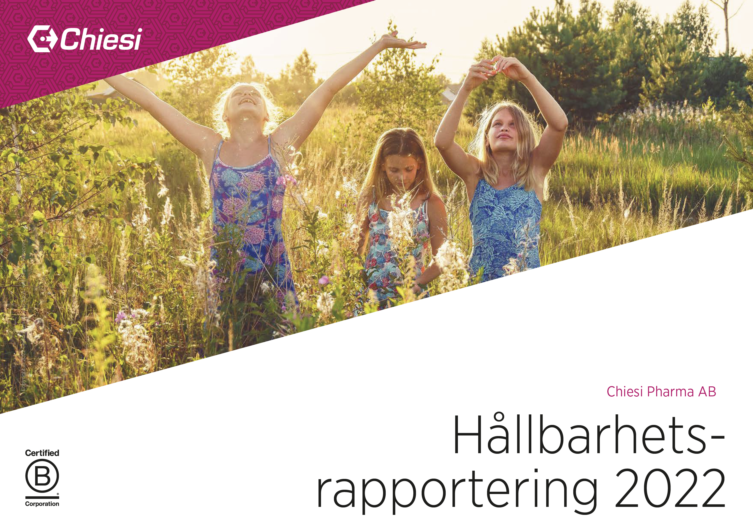 sustainability-report-se